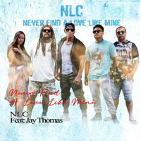 Thumbnail for the NLC - Never Find A Love Like Mine link, provided by host site