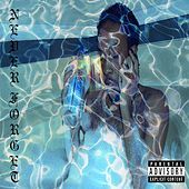 Thumbnail for the CHRIS TRAVIS - Never Forget link, provided by host site