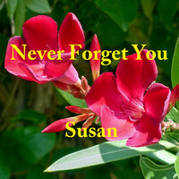 Thumbnail for the Susan - Never Forget You link, provided by host site