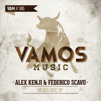 Thumbnail for the Alex Kenji - Never Give Up link, provided by host site