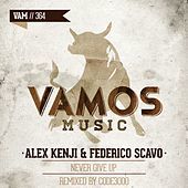 Thumbnail for the Federico Scavo - Never Give Up (Code3000 Remix) link, provided by host site