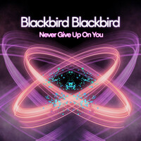 Thumbnail for the Blackbird Blackbird - Never Give Up On You link, provided by host site