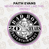 Thumbnail for the Faith Evans - Never Knew Love Like This (Remix) link, provided by host site