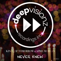 Thumbnail for the April Morgan - Never Knew (Sandy Rivera's Classic Mix) link, provided by host site