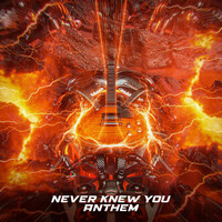 Thumbnail for the Anthem - Never Knew You link, provided by host site