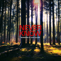 Thumbnail for the Borgeous - Never Know link, provided by host site