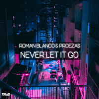 Thumbnail for the Román Blanco - Never Let It Go link, provided by host site