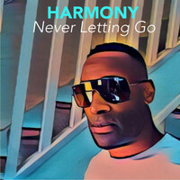 Thumbnail for the Harmony - Never Letting Go link, provided by host site