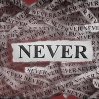 Thumbnail for the Rayleen - Never (Radio Edit) link, provided by host site