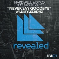 Thumbnail for the Hardwell - Never Say Goodbye [Extended Mix] link, provided by host site