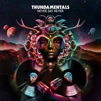 Thumbnail for the Thundamentals - Never Say Never link, provided by host site