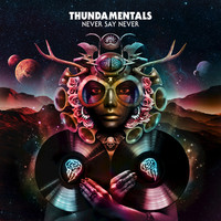 Thumbnail for the Thundamentals - Never Say Never link, provided by host site