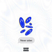 Thumbnail for the Badger - Never Sober link, provided by host site