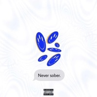 Thumbnail for the Badger - Never Sober link, provided by host site