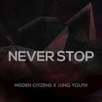Thumbnail for the Hidden Citizens - Never Stop link, provided by host site