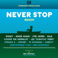 Thumbnail for the Lee Scratch Perry - Never Stop Never Flop link, provided by host site