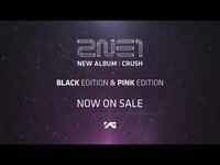 Thumbnail for the 2NE1 - NEW ALBUM 'CRUSH' link, provided by host site