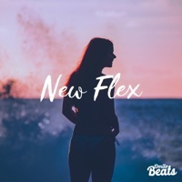 Thumbnail for the Omito - New Flex link, provided by host site