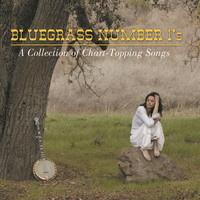 Thumbnail for the Alison Krauss - New Fool link, provided by host site