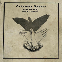 Image of Chadwick Stokes linking to their artist page due to link from them being at the top of the main table on this page