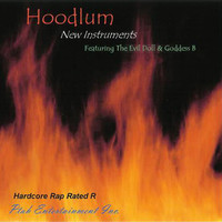 Thumbnail for the Hoodlum - New Instruments link, provided by host site