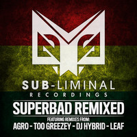 Thumbnail for the Leaf - New Life - Agro Remix link, provided by host site