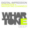 Thumbnail for the Digital Impression - New Paths link, provided by host site