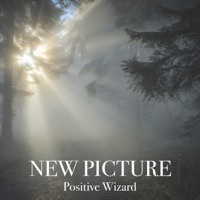 Image of Positive Wizard linking to their artist page due to link from them being at the top of the main table on this page
