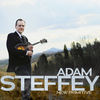 Thumbnail for the Adam Steffey - New Primitive link, provided by host site