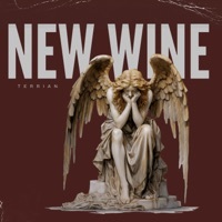 Thumbnail for the Terrian - New Wine link, provided by host site