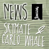 Image of Skymate linking to their artist page due to link from them being at the top of the main table on this page