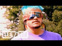 Thumbnail for the 6 Dogs - Next Level link, provided by host site