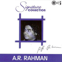 Thumbnail for the Sukhwinder Singh - Ni Main Samajh Gayee (From "Taal") link, provided by host site