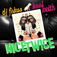 Thumbnail for the DJ Fokus - Nice..Twice link, provided by host site
