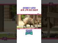 Thumbnail for the 2PM - 태국왕자 닉쿤의 공개 고백 현장 대공개 | #NICHKHUN #닉쿤 #쿤이의세포들 link, provided by host site