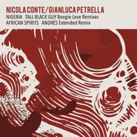 Thumbnail for the Nicola Conte - Nigeria (Tall Black Guy Boogie Love Remix - Instrumental Version) link, provided by host site