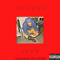 Thumbnail for the BIG TRIP - Niggaz Know link, provided by host site