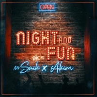 Thumbnail for the BK - Night and Fun link, provided by host site