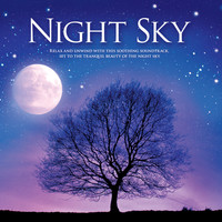 Thumbnail for the Jeff Victor - Night Sky link, provided by host site