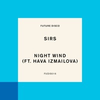 Thumbnail for the Si RS - Night Wind link, provided by host site