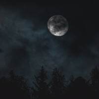 Thumbnail for the Neither - nightime link, provided by host site
