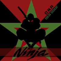 Thumbnail for the D.N.A - Ninja link, provided by host site