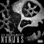 Thumbnail for the Lex the Hex Master - Ninjas link, provided by host site