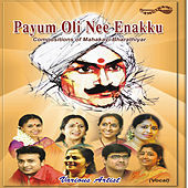 Thumbnail for the P Unni Krishnan - Ninnaiye Radiendru - Sindhubhairavi - Adi link, provided by host site