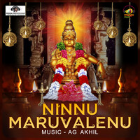 Thumbnail for the Peddapuli Eshwar - Ninnu Maruvalenu link, provided by host site