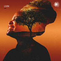 Thumbnail for the LevyM - Niño link, provided by host site