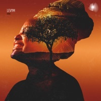 Image of LevyM linking to their artist page due to link from them being at the top of the main table on this page