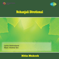 Thumbnail for the Nitin Mukesh - Nitin Mukesh - Nehanjali link, provided by host site