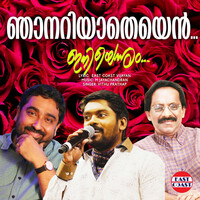 Thumbnail for the Vidhu Prathap - Njanariyatheyen link, provided by host site