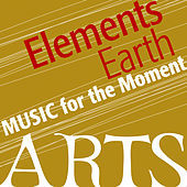 Thumbnail for the Diego Fasolis - No. 1 Symphony - Grave - Allegro moderato link, provided by host site